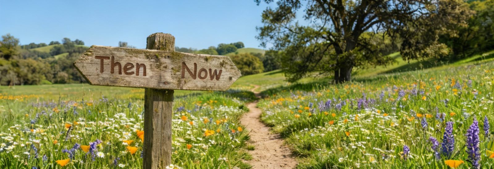Wooden trail sign pointing 'Then' and 'Now' at a crossroads in a meadow with wildflowers, representing the midlife journey